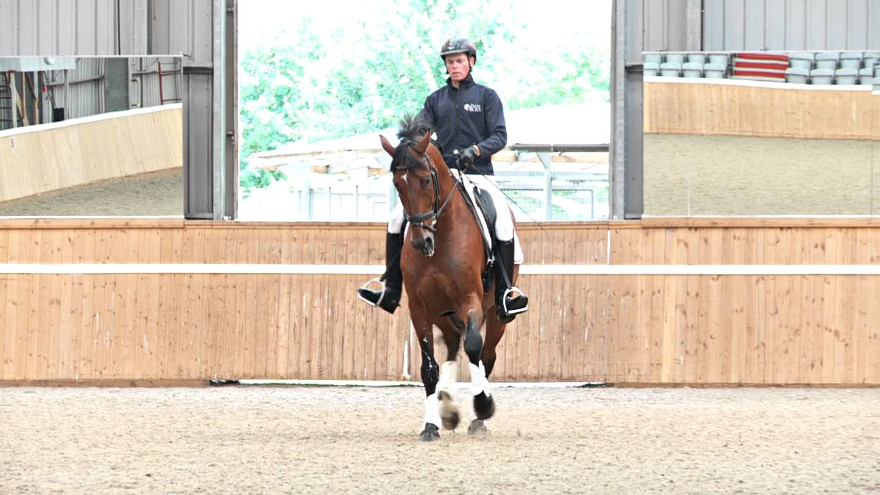 Leg-yield made easy with dressage rider and trainer Matt Hicks