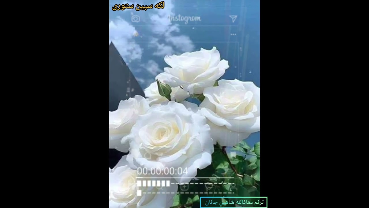 ۲ مارس ۲۰۲۶