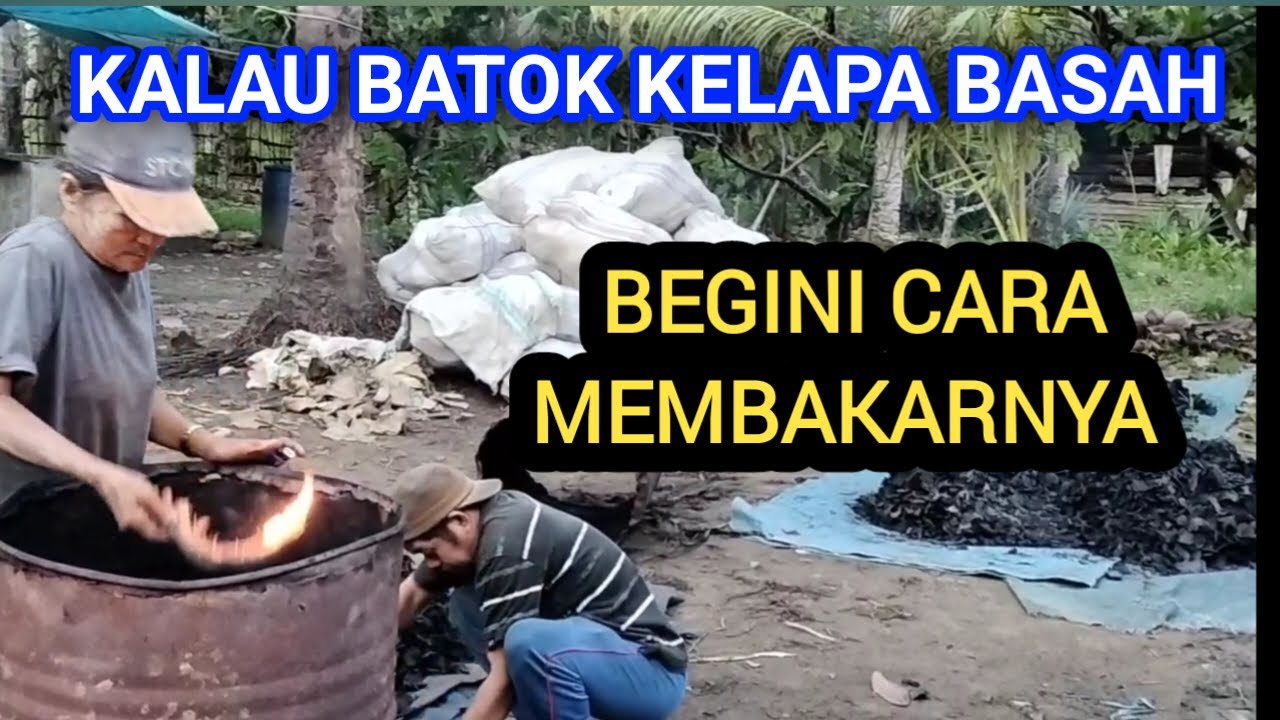 Tanpa jemur!! Batok Kelapa BASAH Cepat Jadi Arang