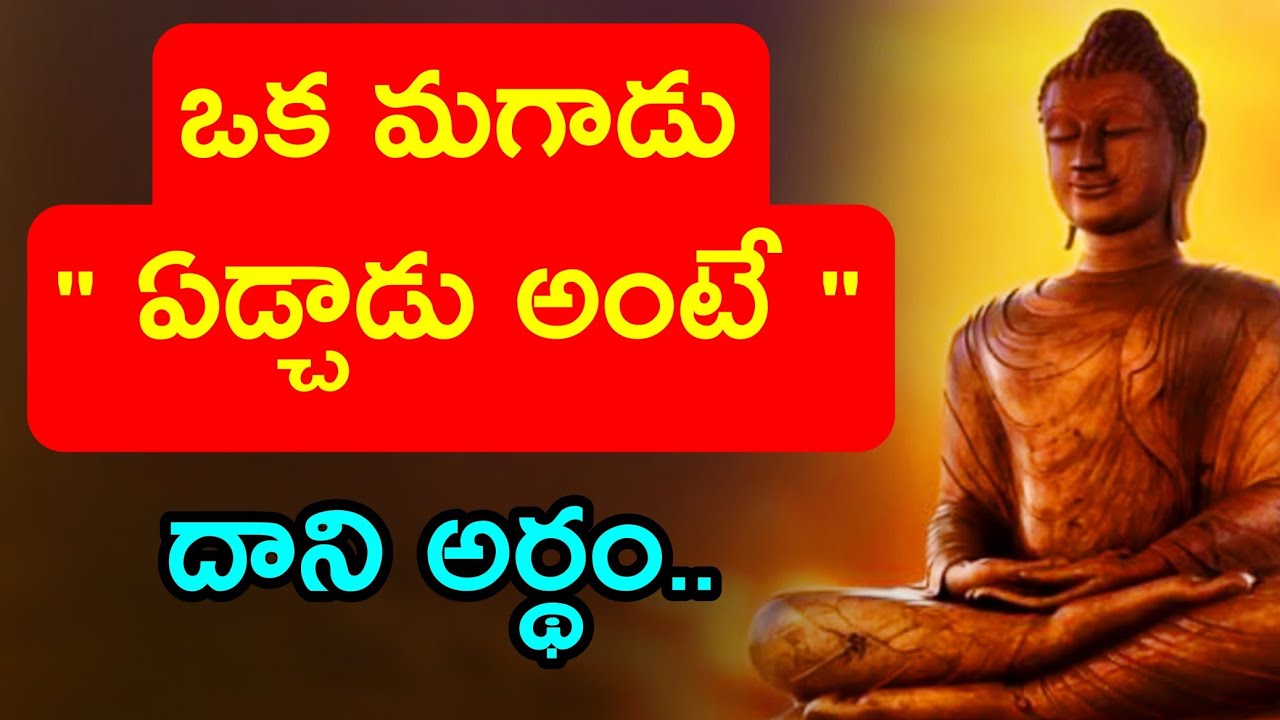 Budha Healing motivational quotes|| Lord budha ||budha Telugu 
