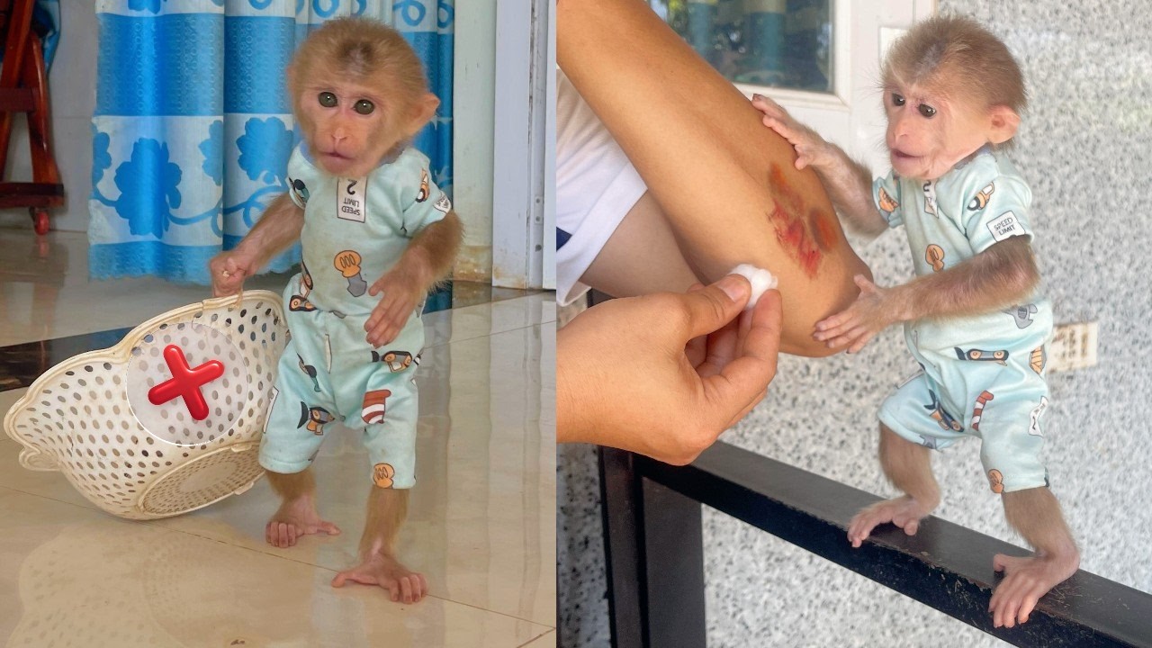 Lulu Tries Her Best to Help Dad Recover from His Injury