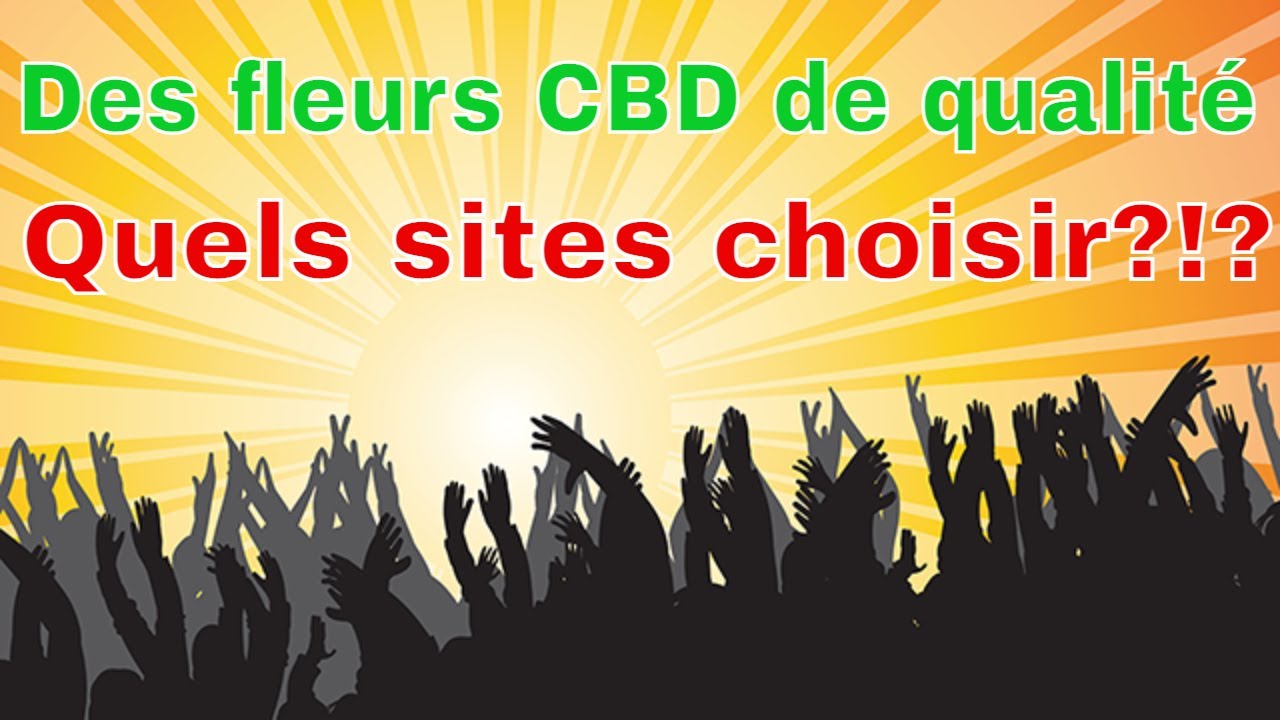 Des fleurs de CBD de qualit&eacute; : Quels sites choisirs?