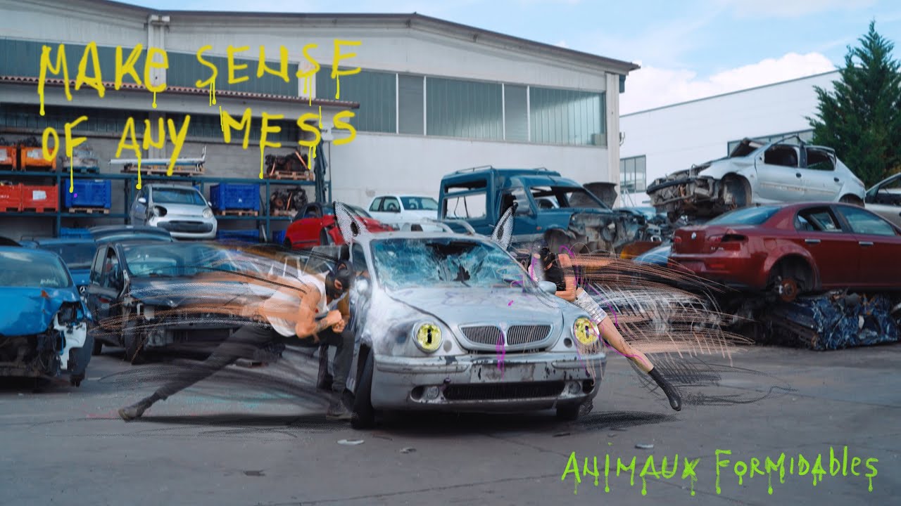 Animaux Formidables - Make Sense Of Any Mess