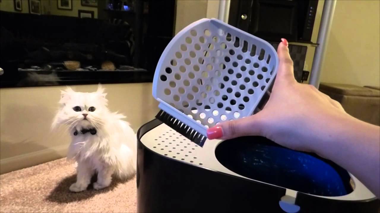 Picky's Picks: Modkat Unboxing