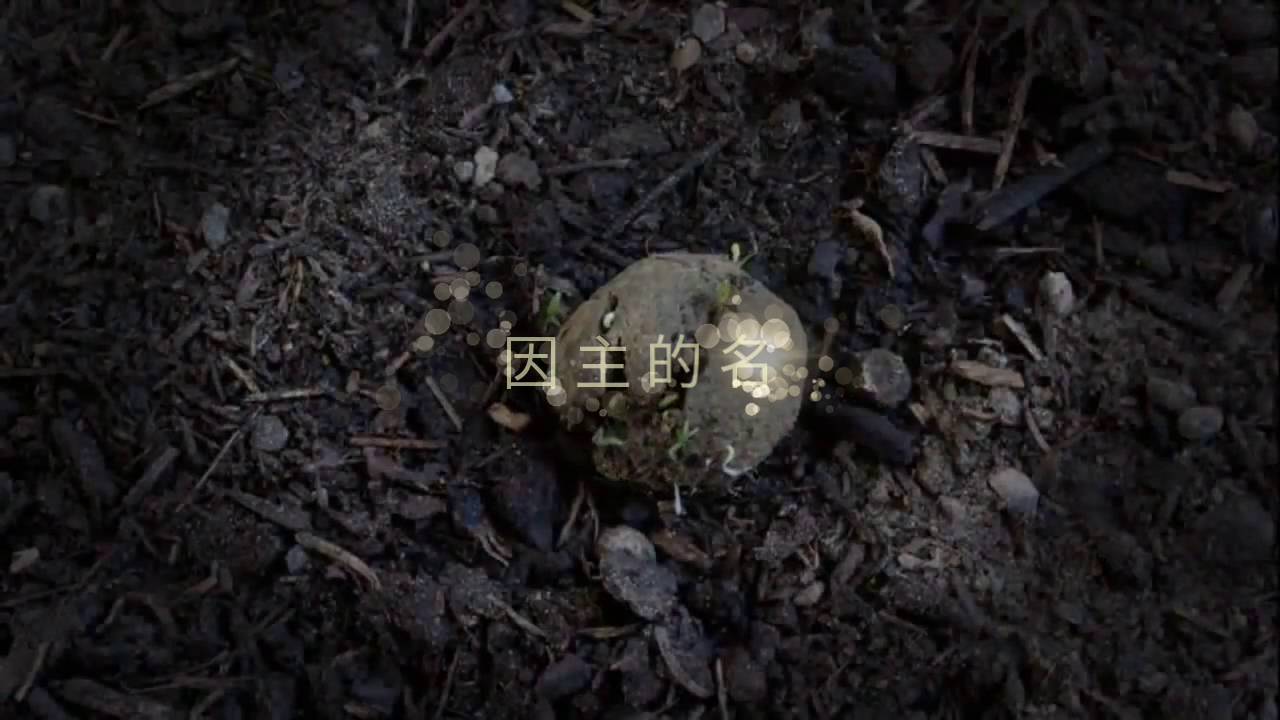因主的名 粵