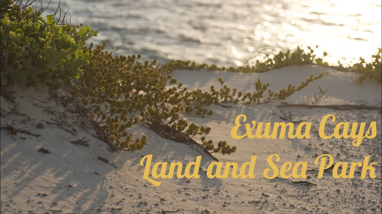 Hiking, snorkeling and making friends at the Exuma Cays Land & Sea park