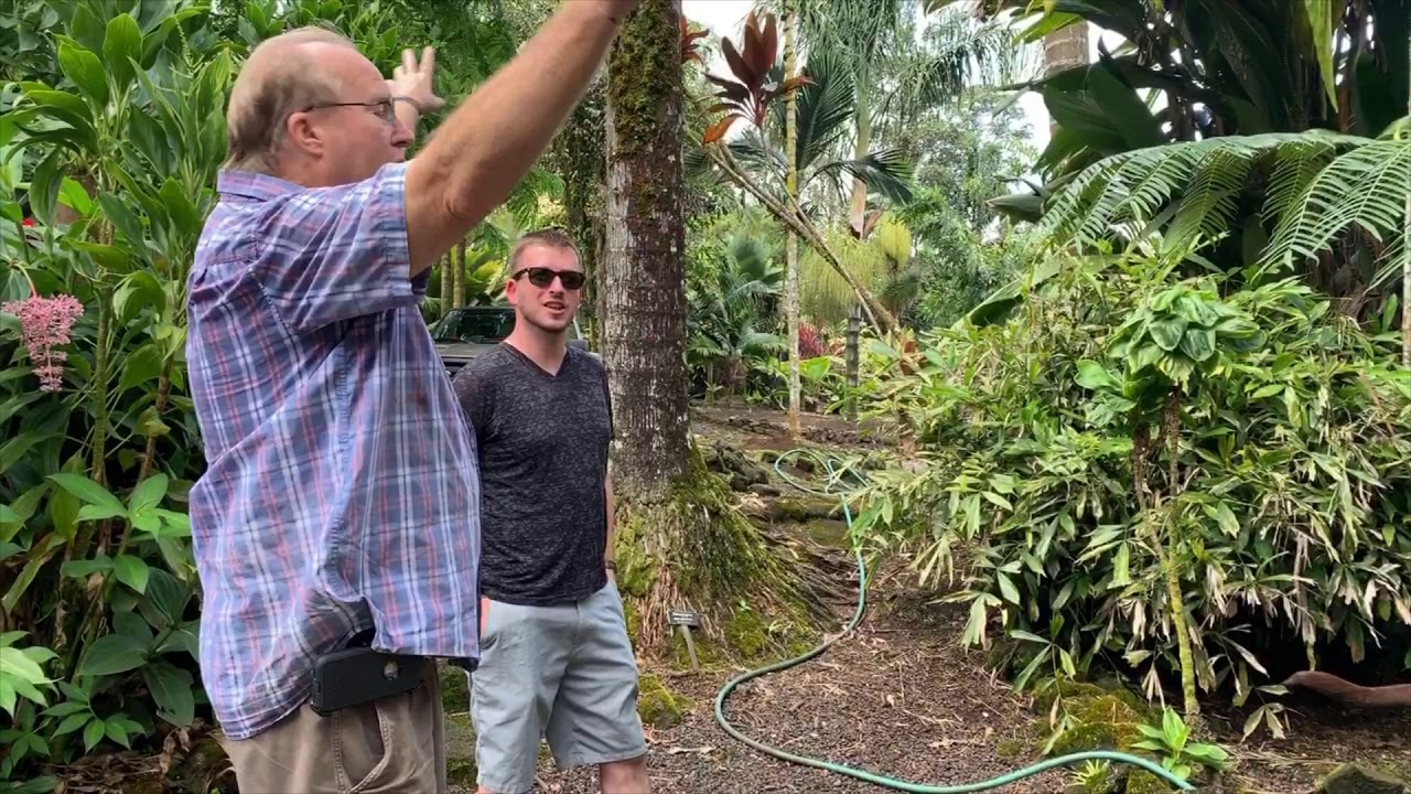 Floribunda Palms Tour ft Justin Schroeder