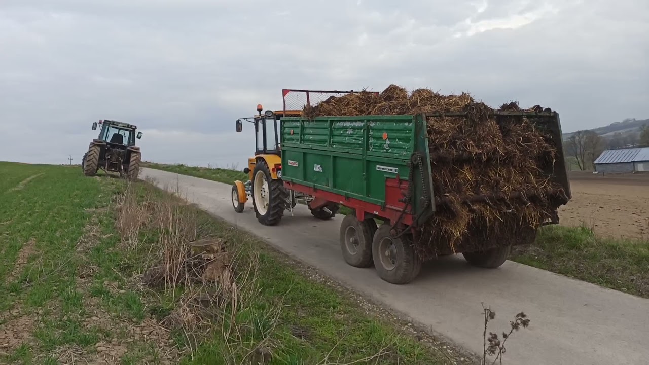 Ursus c 355 turbo próba z mocy! Akcja obornik, warfama N218