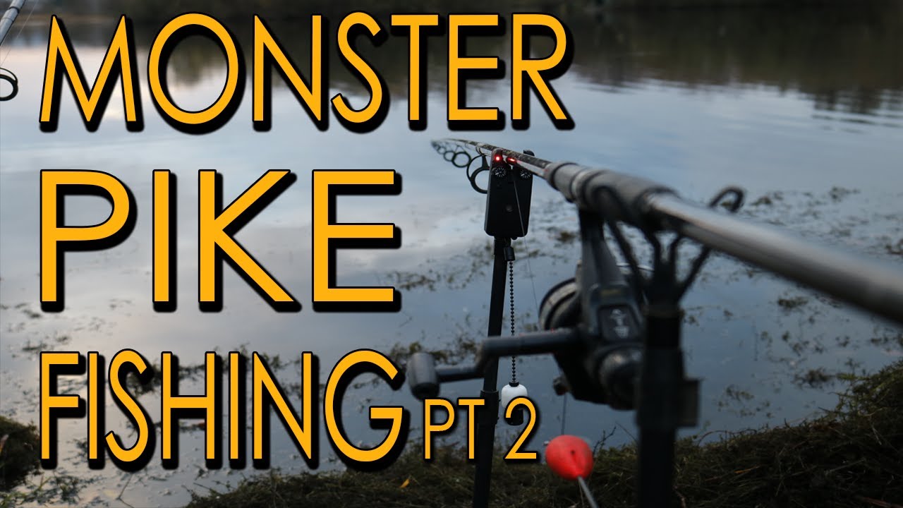 MONSTER Pike Fishing Part 2