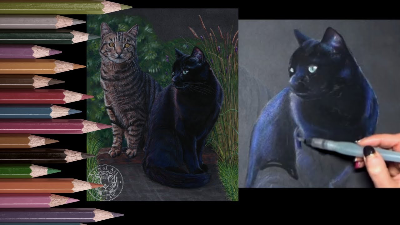 Creating Black Fur with Faber Castell Albrecht Durer Watercolour Pencils in realtime