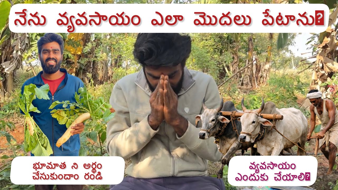 Why Natural SPK farming? How i started farming? 