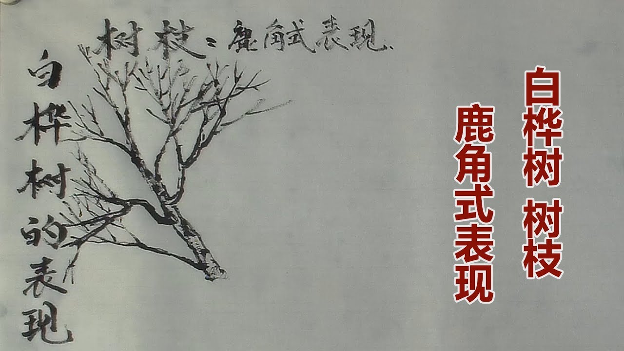 国画技法：吴作成演示白桦树树枝，鹿角式画法/중국화 기법/中国画の手法