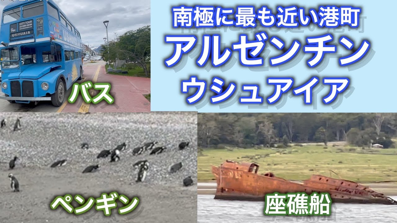 【南極に最も近い港町】アルゼンチン　”ウシュアイア”　ペンギン＆アザラシツアーは超しんどかった