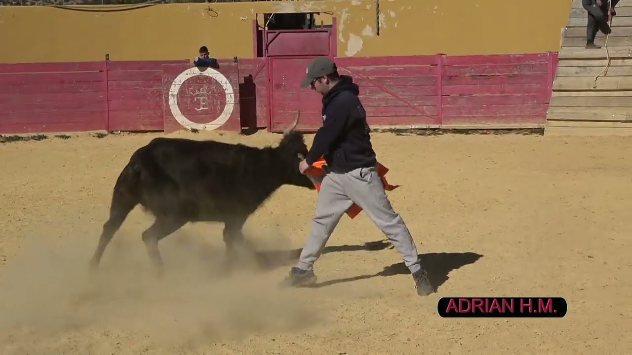 Prueba de vacas de los chatos 2023