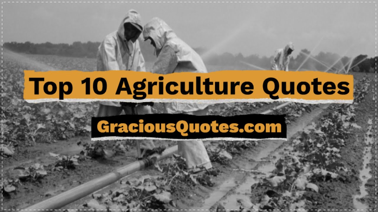 Top 10 Agriculture Quotes - Gracious Quotes