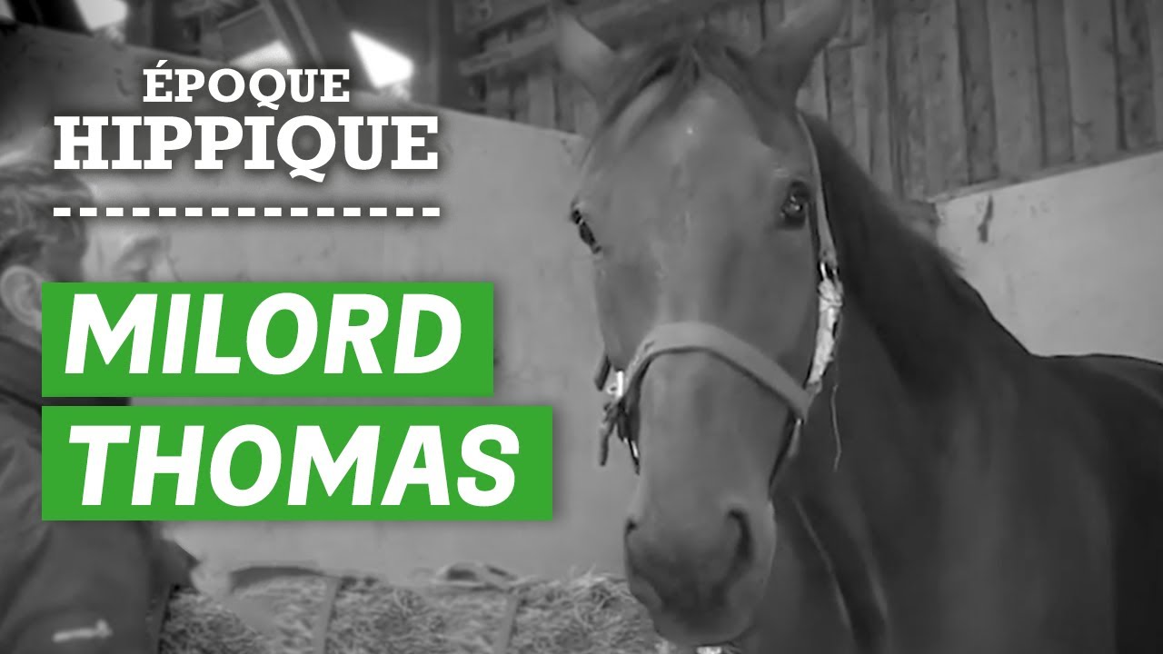 L'histoire de Milord Thomas : le champion de l'Obstacle | Époque Hippique | PMU