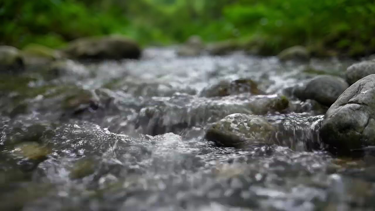 Flowing Water - Mute the World