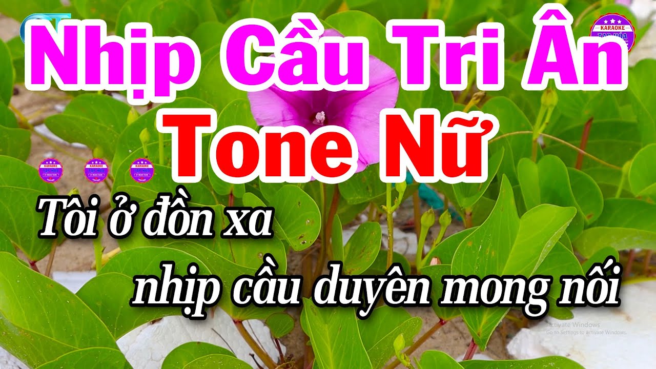 Karaoke Nhịp Cầu Tri Ân Tone Nữ Nhạc Beat Hay Dễ Hát
