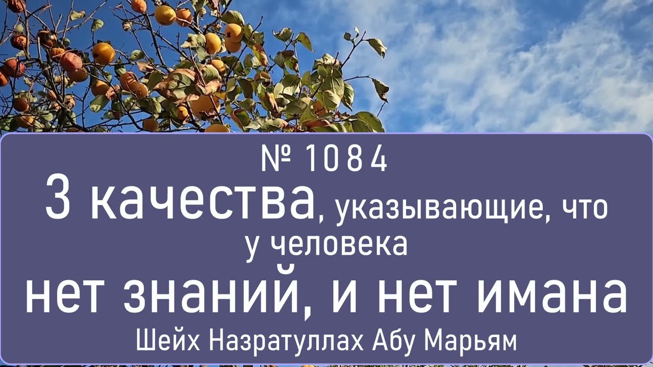 3 качества, указывающие, что у человека нет знаний, и нет имана