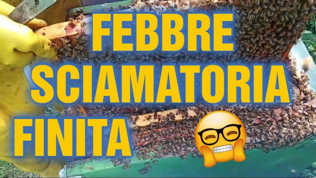 Apicoltura CD: Febbre sciamatoria, atto finale!