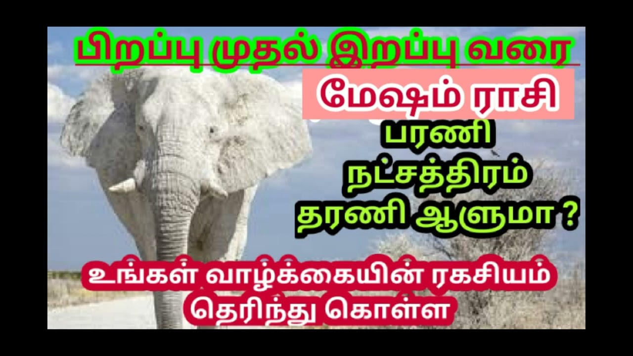 மேஷம் ராசி பரணி நட்சத்திரம் குணங்கள் பரிகாரங்கள்  | barani natchathiram in tamil