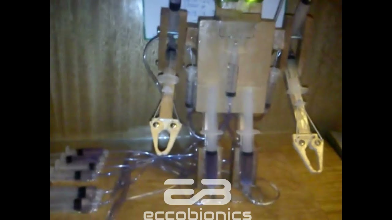 Robot Hidráulico