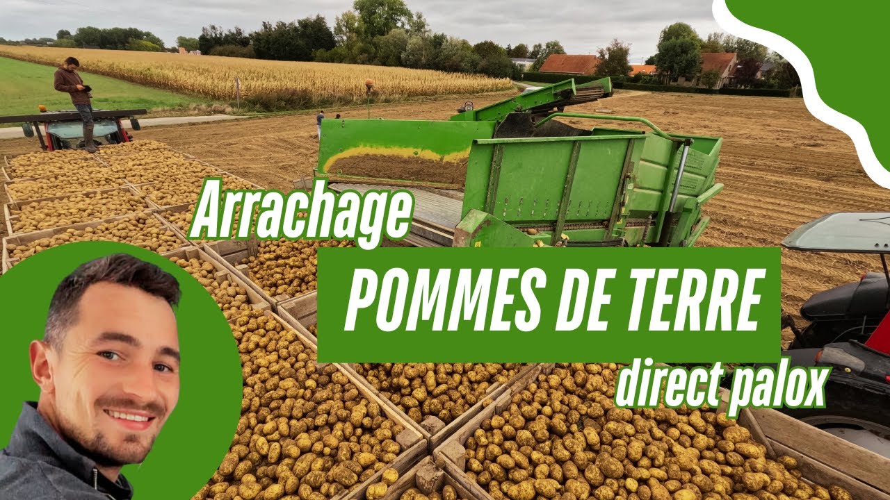 Enfin de la pluie pour rentrer la récolte