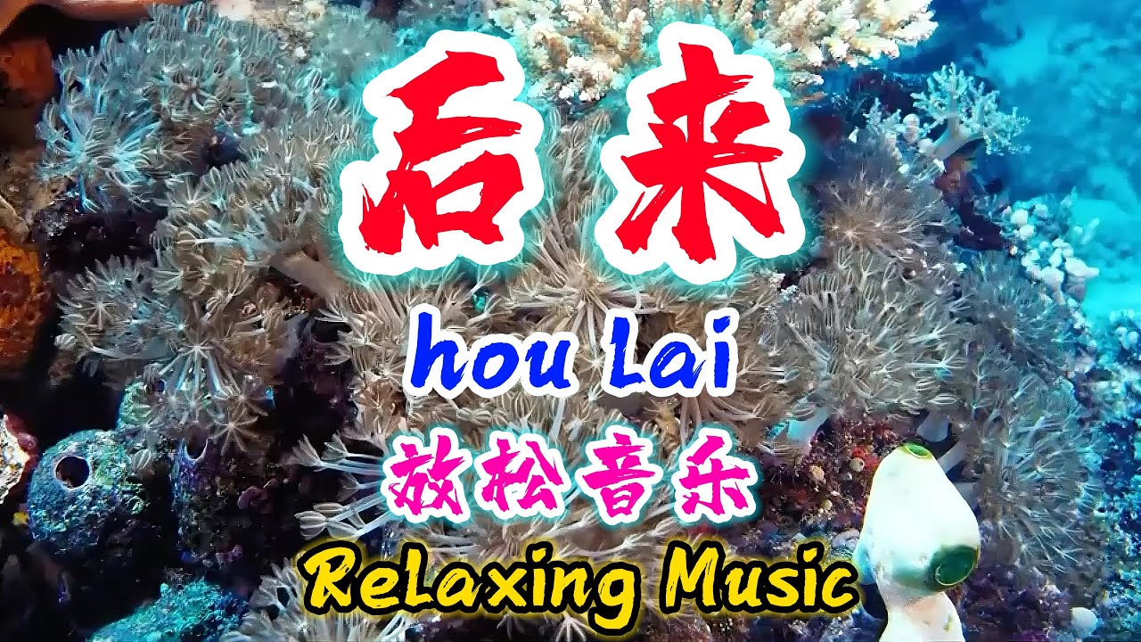 放松音乐【后来】hou lai - Relaxing Music @NiceMusicBox