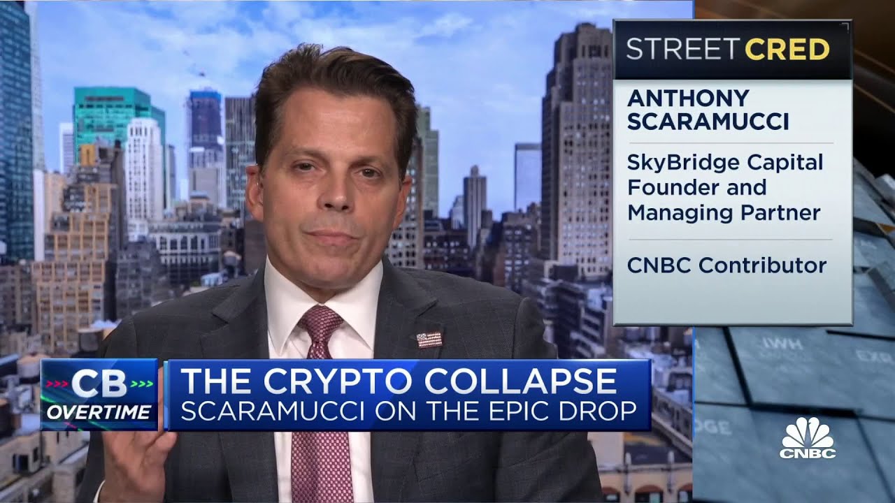 We haven't sold any positions amid crypto collapse, says SkyBridge Capital's Anthony Scaramucci