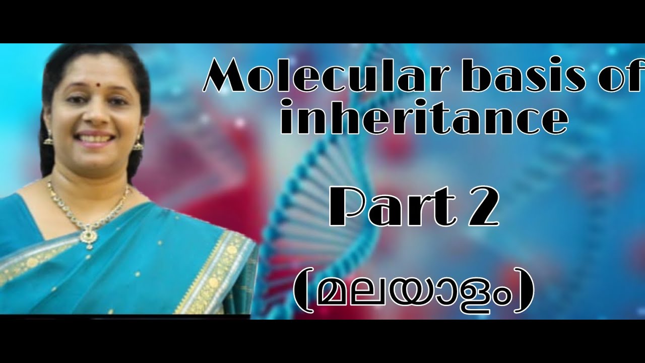 NEET: MOLECULAR BASIS OF INHERITANCE: PART2: DNA PACKAGING/CHARGAFF'S RULE (MALAYALAM)
