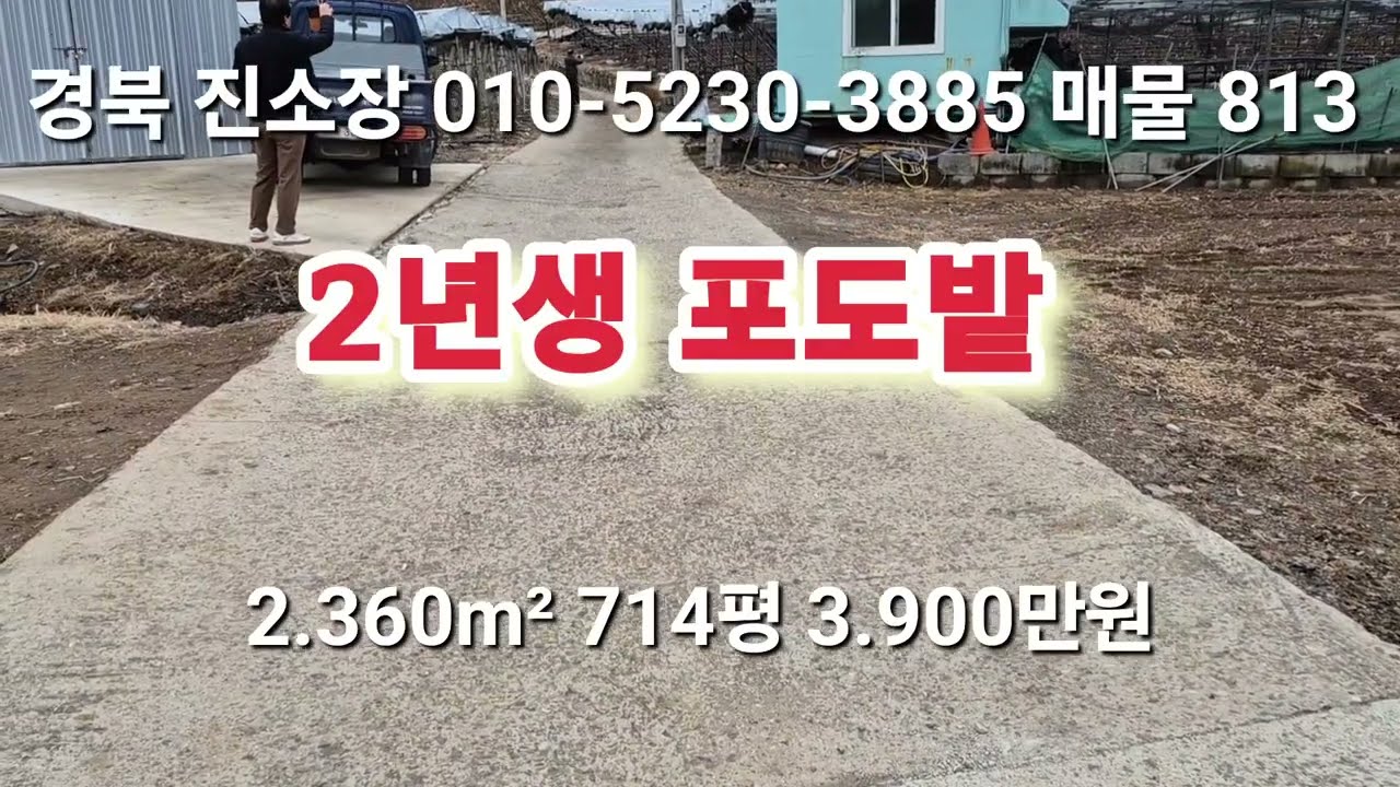 매물 813 #진소장 부동산 #의성부동산 #군위부동산 #안동부동산 #의성 땅 매매 #군위 땅 매매 #과수원 매매 #촌집 매매 #임야 매매 