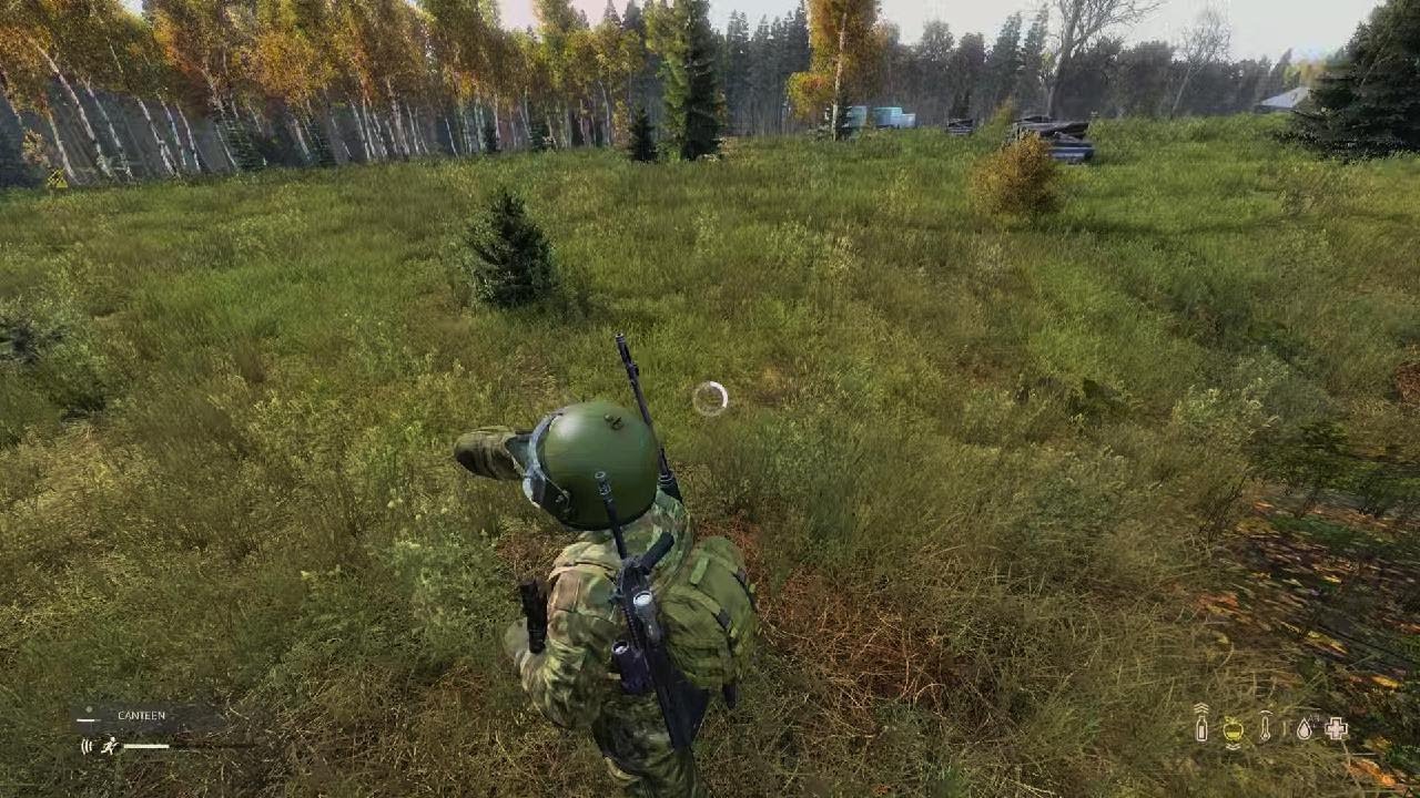 DayZ Official I survived a bear attack!