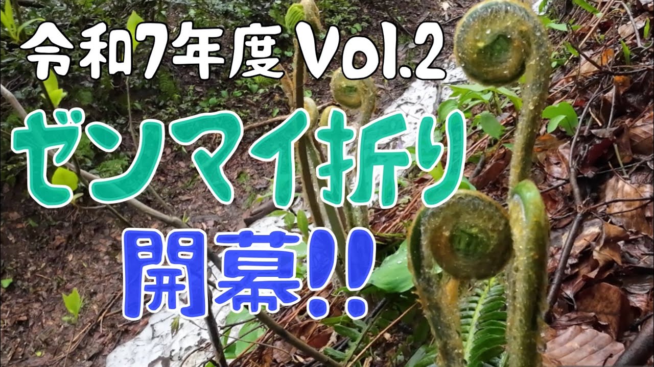 ゼンマイ折りVol.2〜令和7年度開幕！！〜