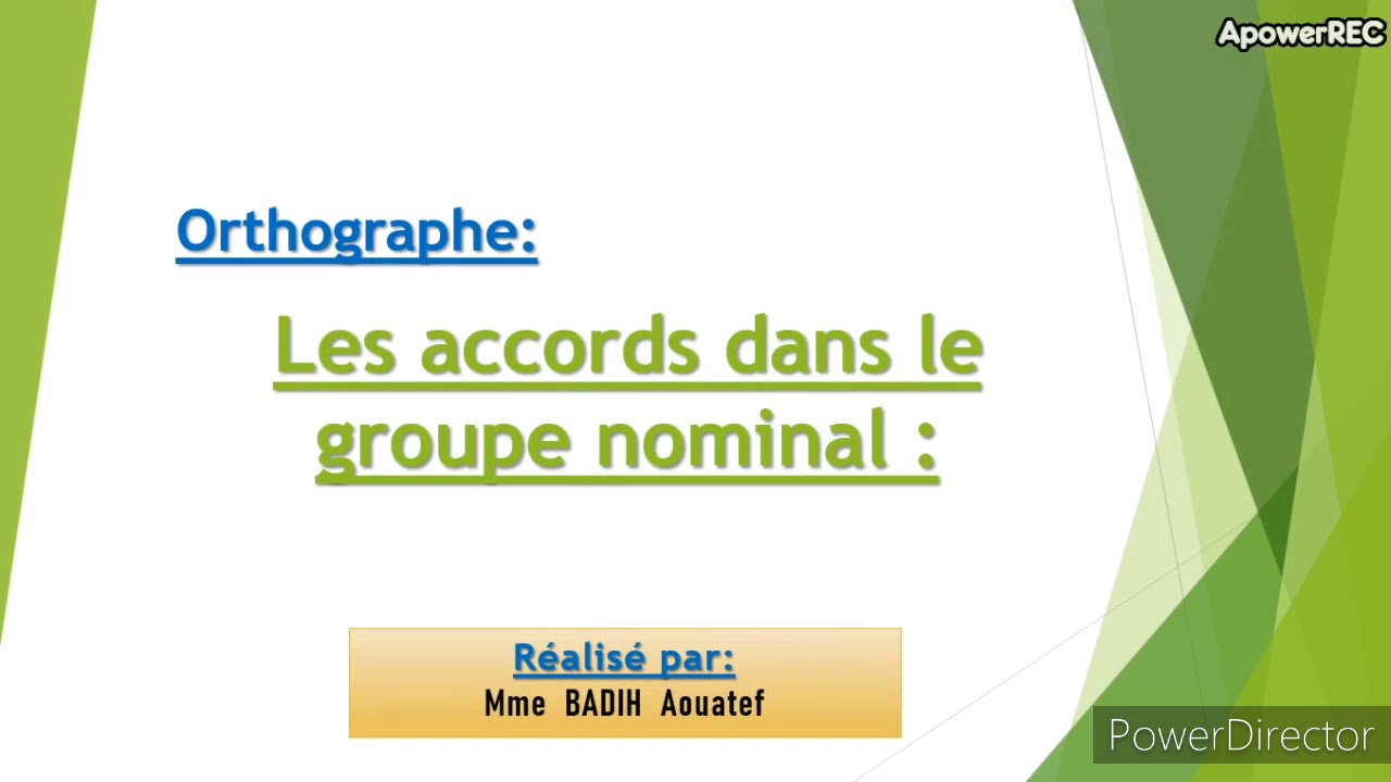 Les accords dans le groupe nominal.