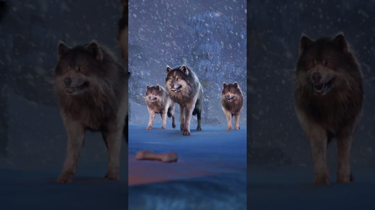 😡Humans Abuse Dog, Wolves Save Dog😢#straydogs #dog #wolf #animalrescue