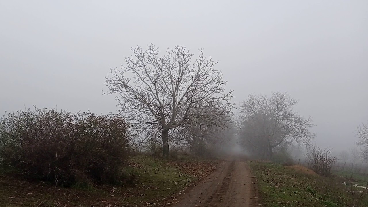 Satul Bursuceni, Călătoresc Sănătos