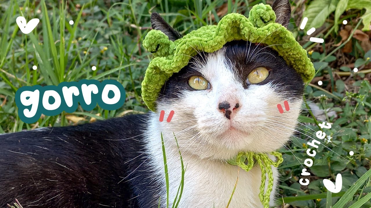 Tutorial I Gorro tejido para gato a crochet FÁCIL y ADAPTABLE 🐱 💖