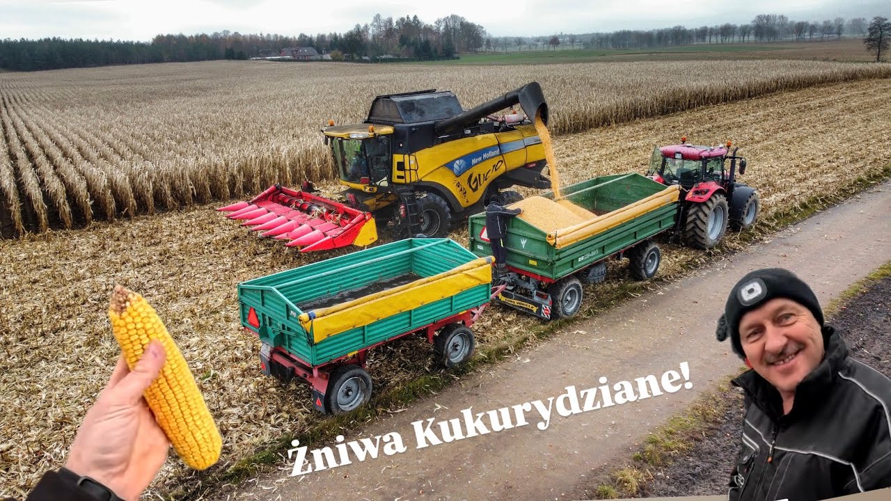 Żniwa Kukurydziane…🌽 w tym roku zdecydowanie za mokra… Kupe siana poszło…