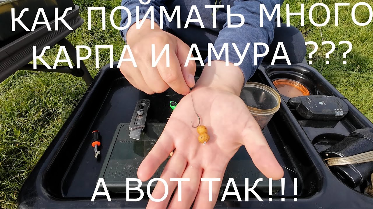 Как поймать КАРПА и АМУРА на ТИГРОВЫЙ ОРЕХ!?