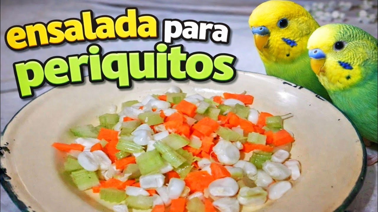 RECETA CASERA |saludable!