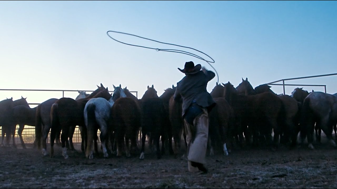 Horse.TV