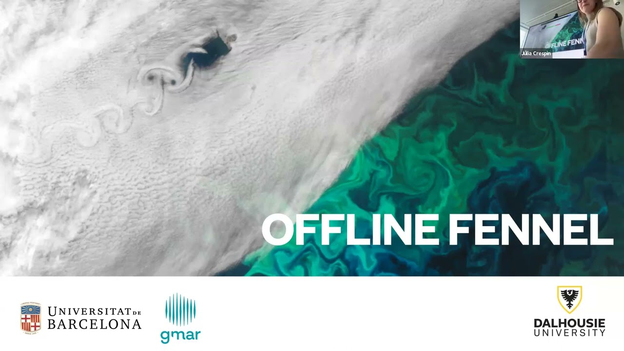 Advancing marine biogeochemical modeling: the Offline Fennel and the hybrid HYPE-CAFE approaches