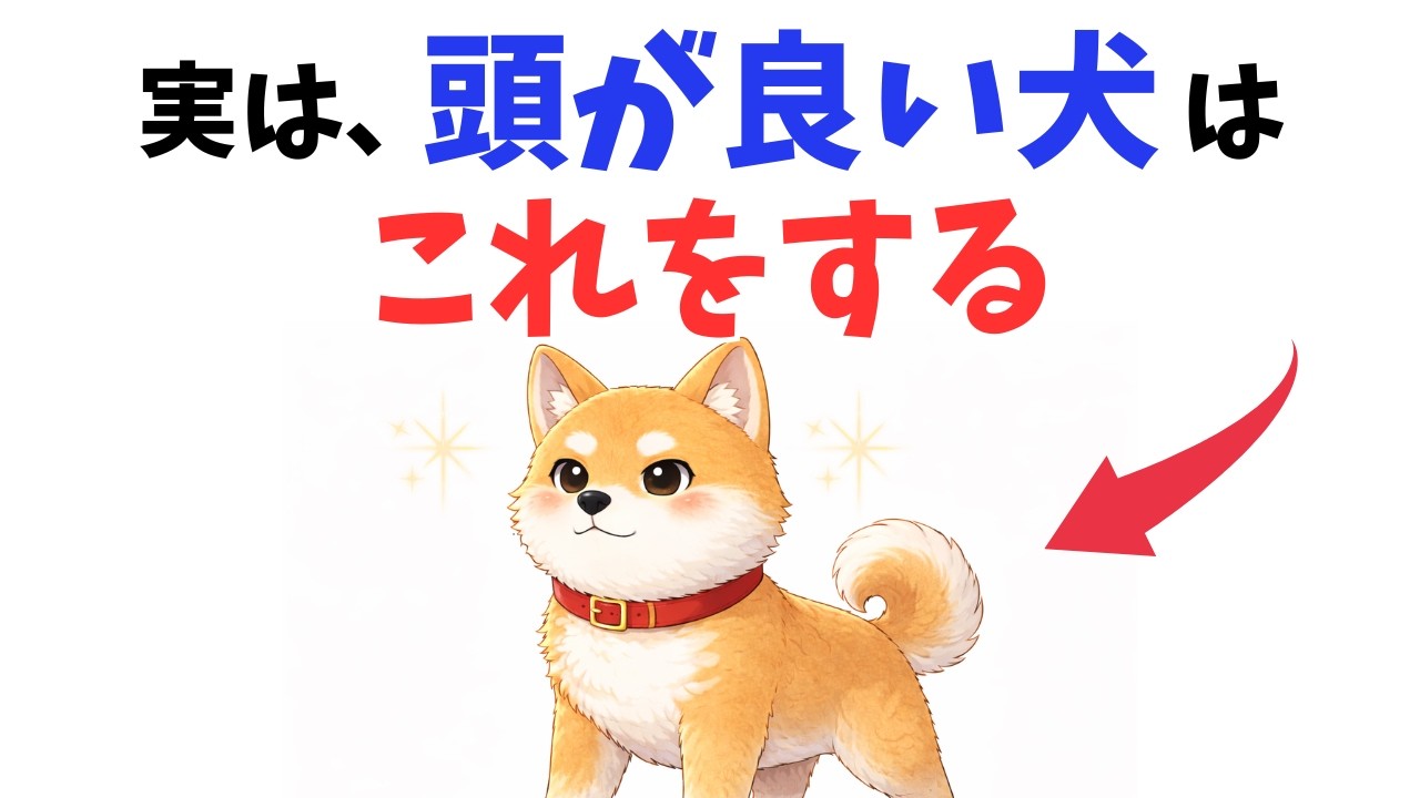 【当てはまったら天才】頭が良い犬ほどやっていること
