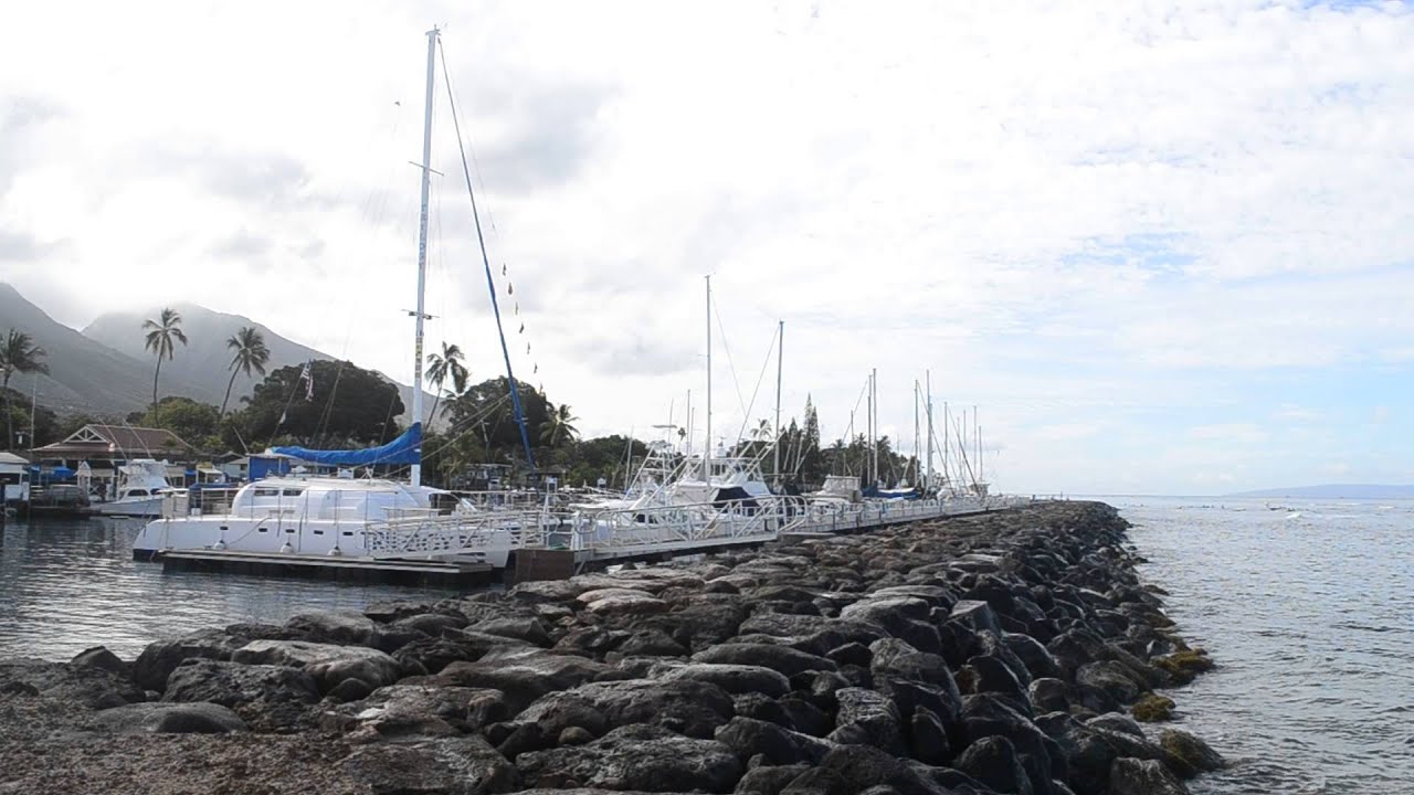 Lahaina Harbor Oceanfront