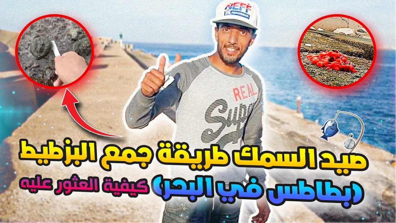 صيد السمك طريقة جمع البزطيط (بطاطس في البحر) كيفية العثور عليه✅ في الدار البيضاء مع رياس مشاكدرين💪🏻