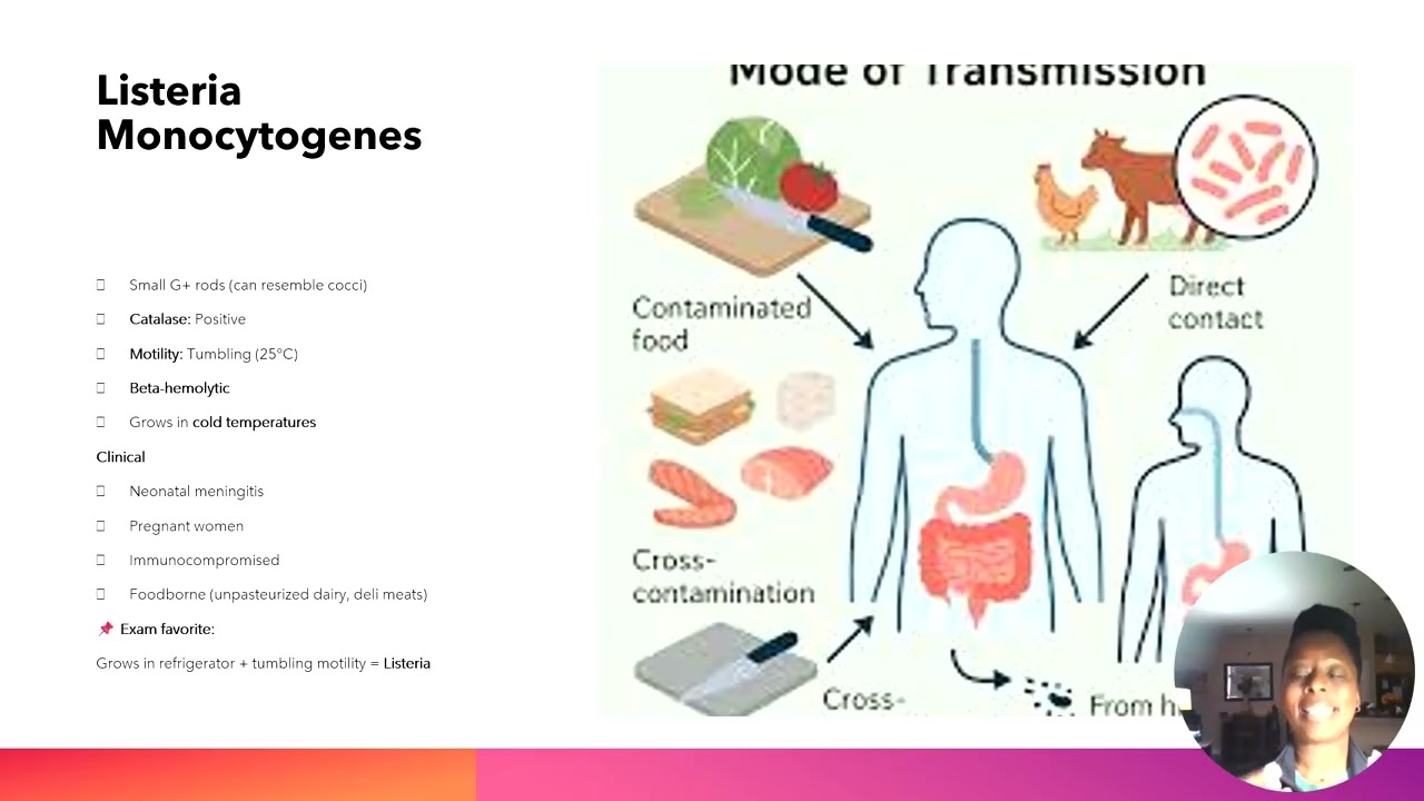 MLS/MLT Microbiology Review: Week 2 Micro Lesson