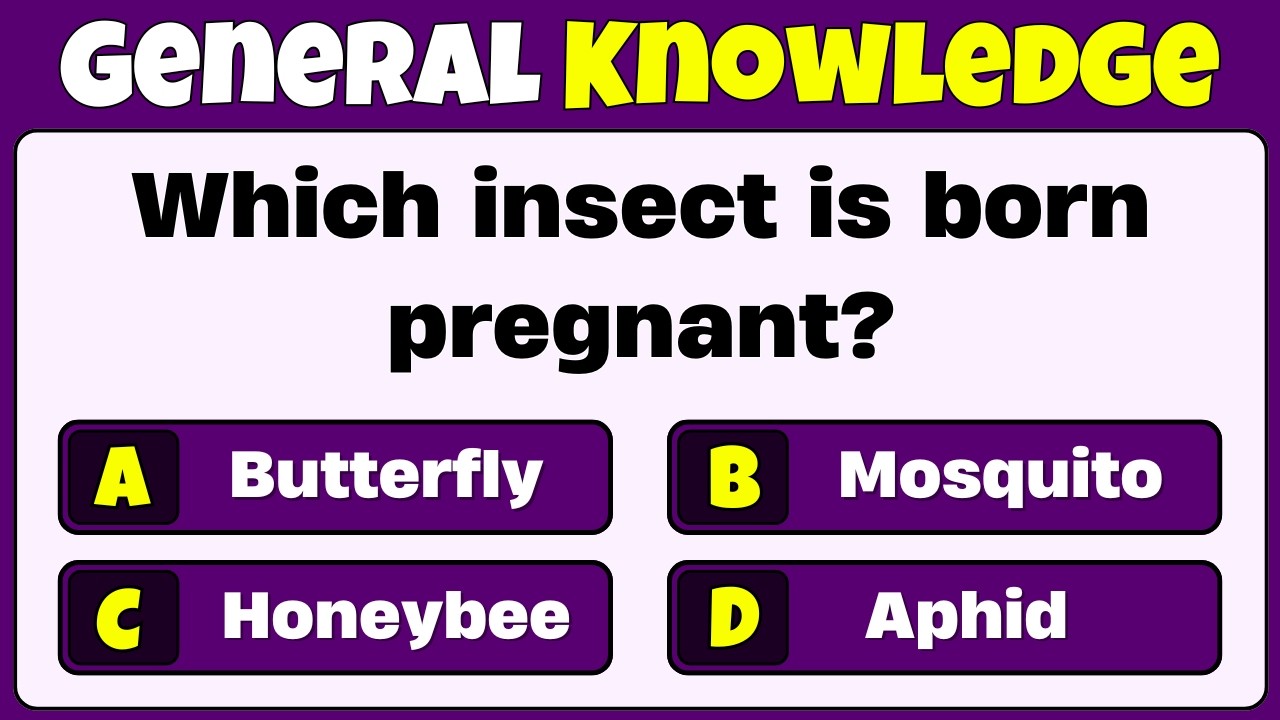 Are You Smarter Than You Think? Try This GK Quiz! | General Knowledge Quiz | Trivia Quiz | GK Quiz