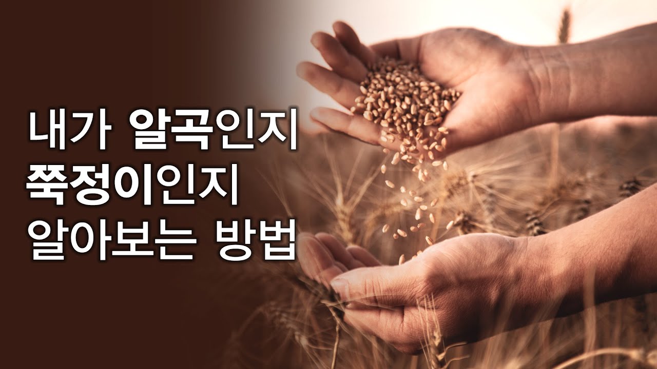 내가 알곡인지 쭉정이인지 알아보는 방법