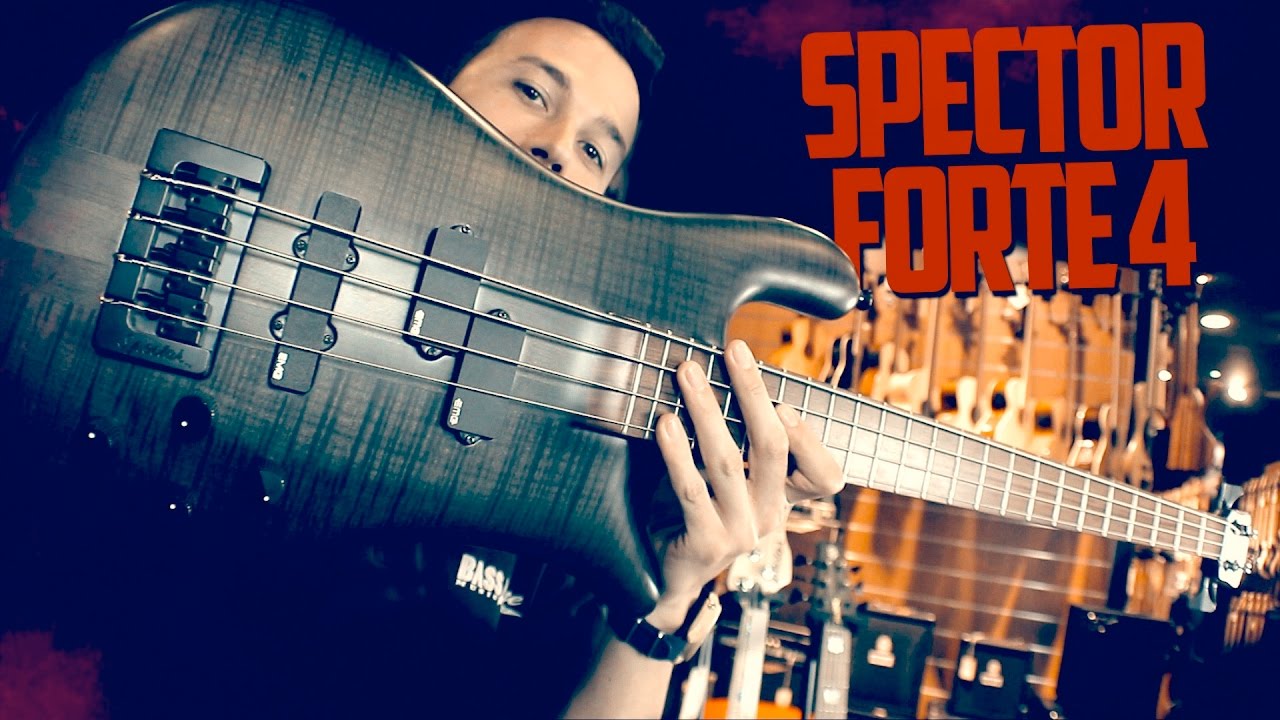 Spector Forte 4 made in U.S.A.
