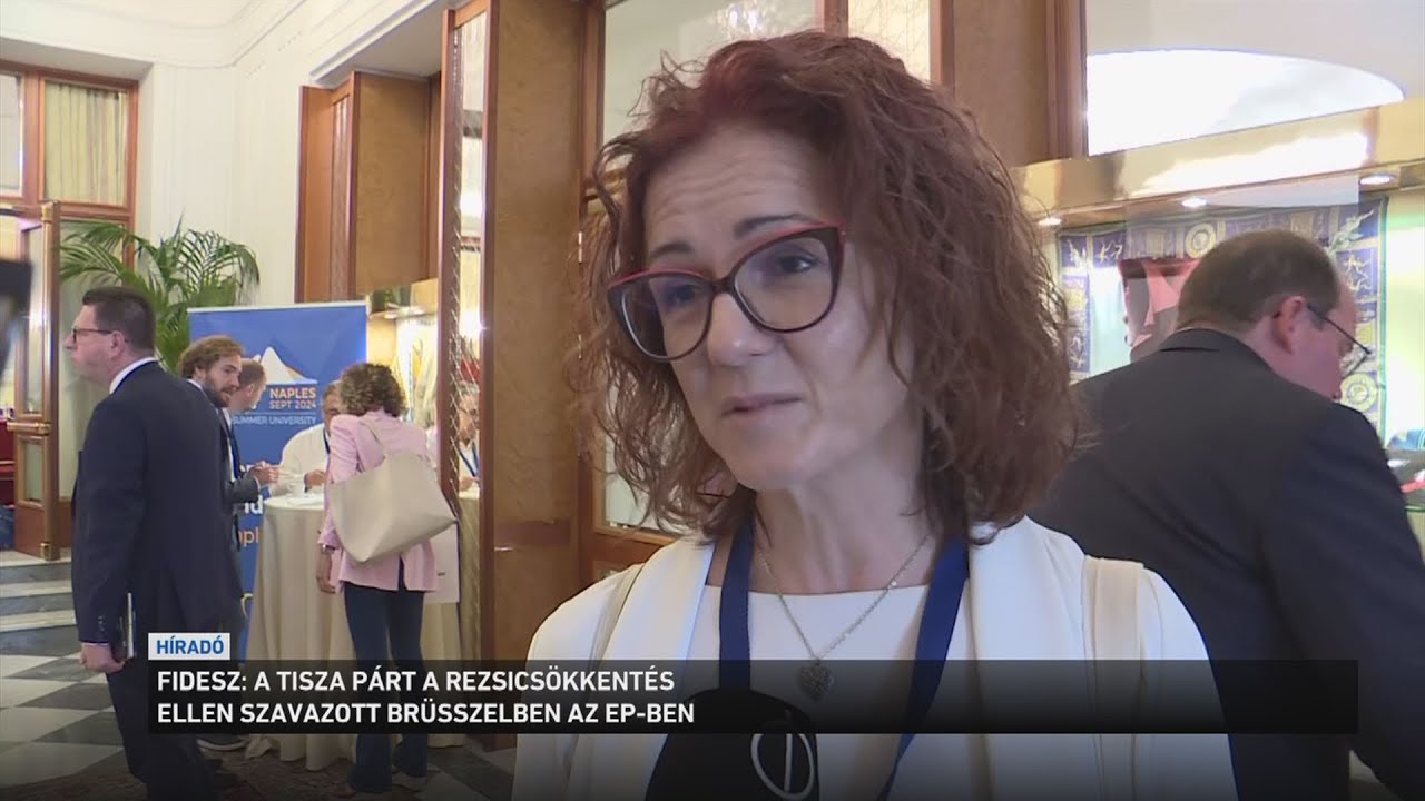 A Tisza P&aacute;rt a rezsics&ouml;kkent&eacute;s ellen szavazott Br&uuml;sszelben